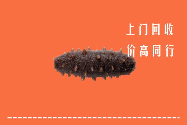 高价求购：长乐区回收海参